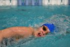 Women's Swimming & Diving  Wheaton College Women’s Swimming & Diving vs Mount Holyoke College. - Photo by Keith Nordstrom : Wheaton, Swimming & Diving